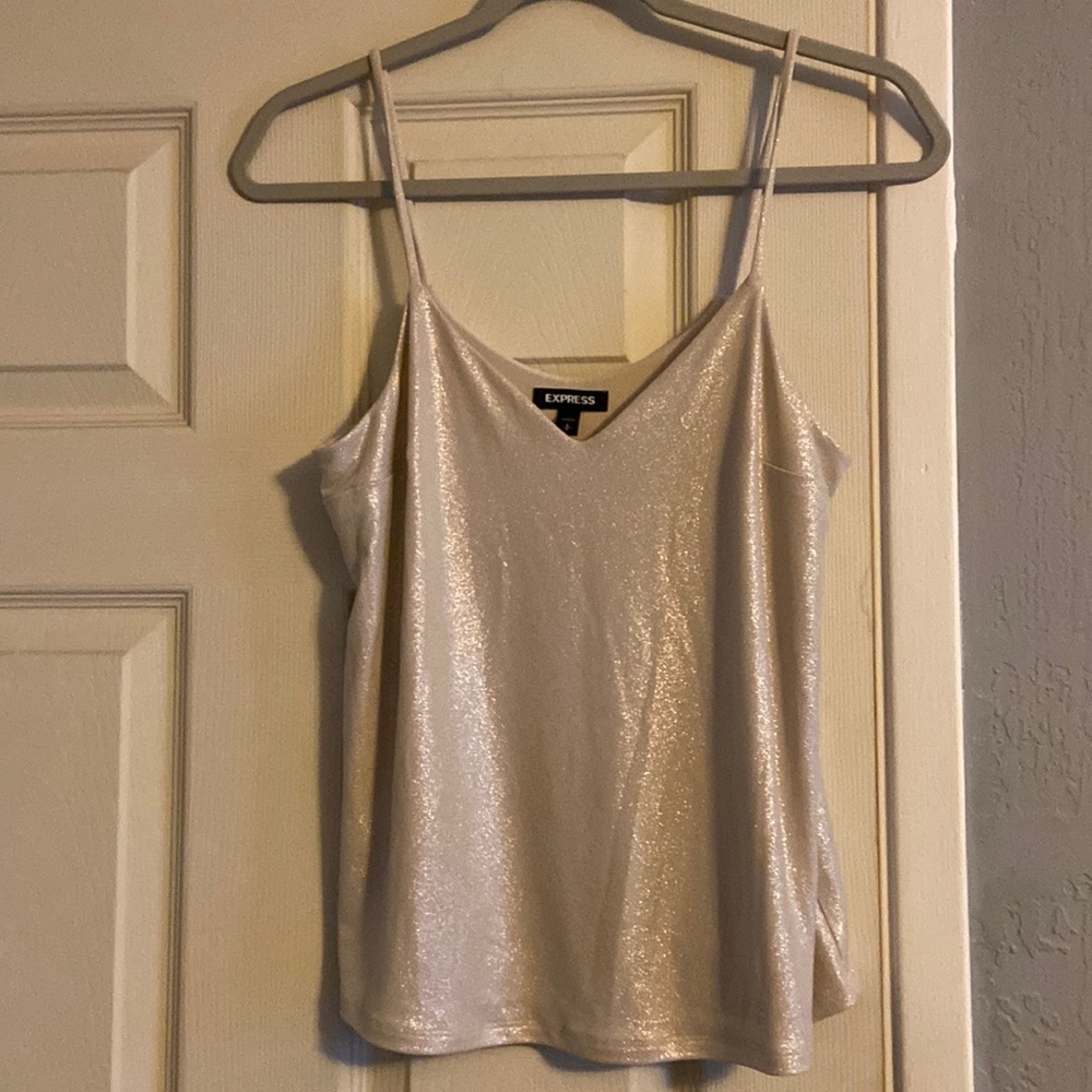 Express Sparkly Blouse